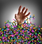 canstockphoto23970798 (1)